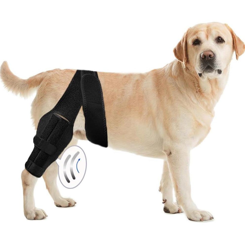 Dog Leg Injury Support Training Belt