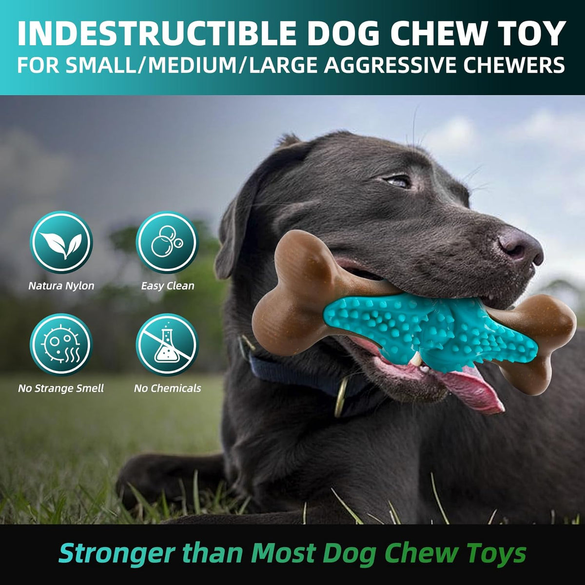 Dog Chew Toy For Large Dogs, Rubber Bone Dog Toys For Aggressive Chewers Large Breed, Teething Chew Toys Medium Dogs, Interactive Dental Hea