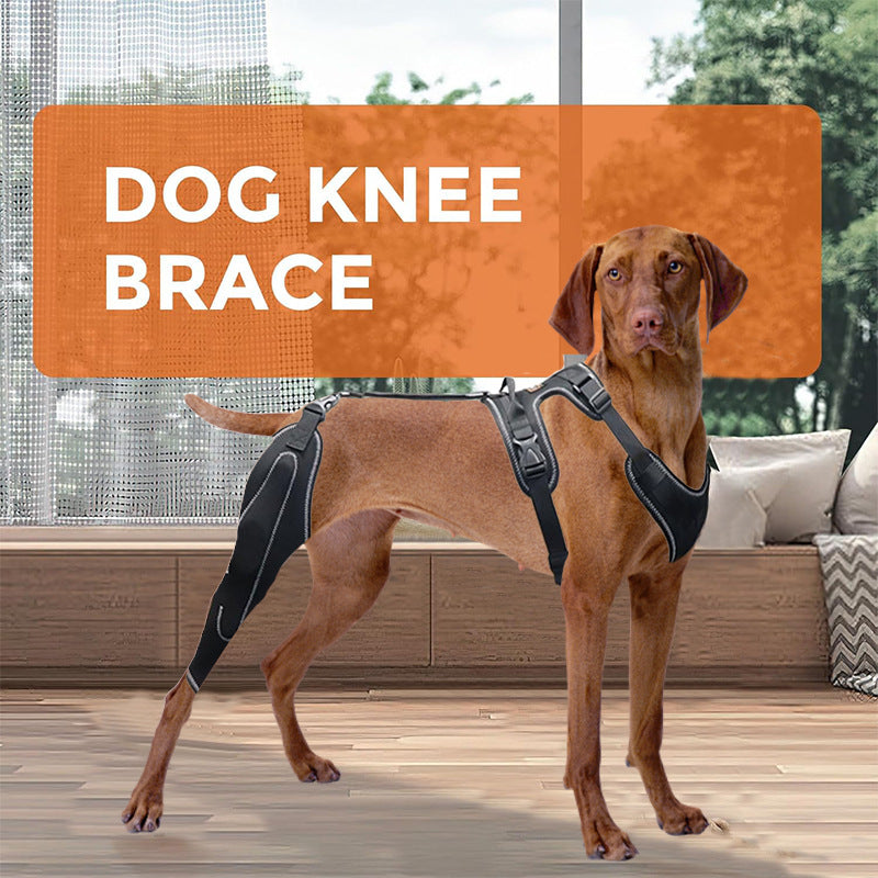 Pet Protective Gear Dog Thigh Protective Sleeve Postoperative Auxiliary Leg Warmer Adjustable Metal Support