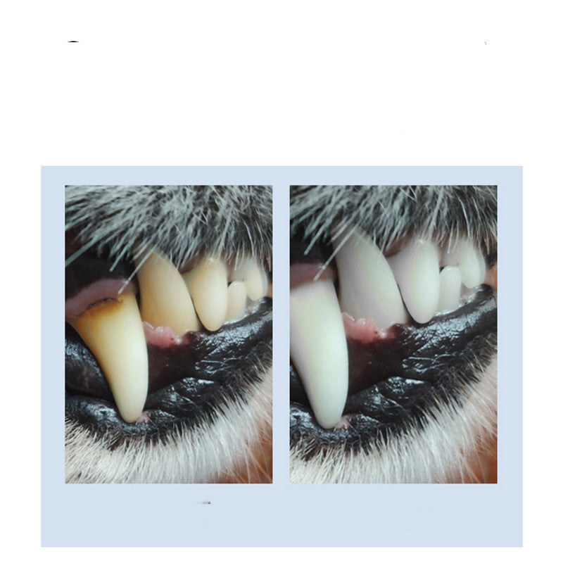 Pet Edible Toothpaste Powder Universal