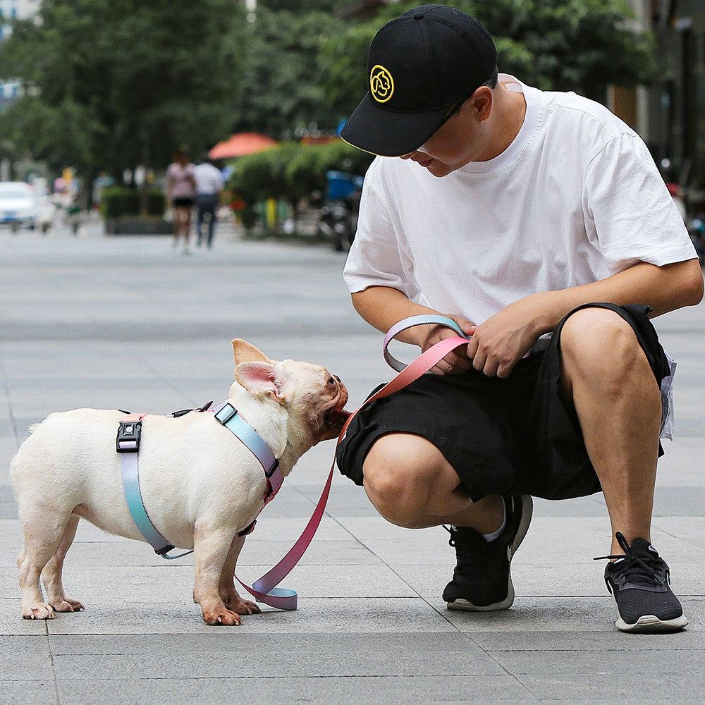 Nylon Pet Chest Strap