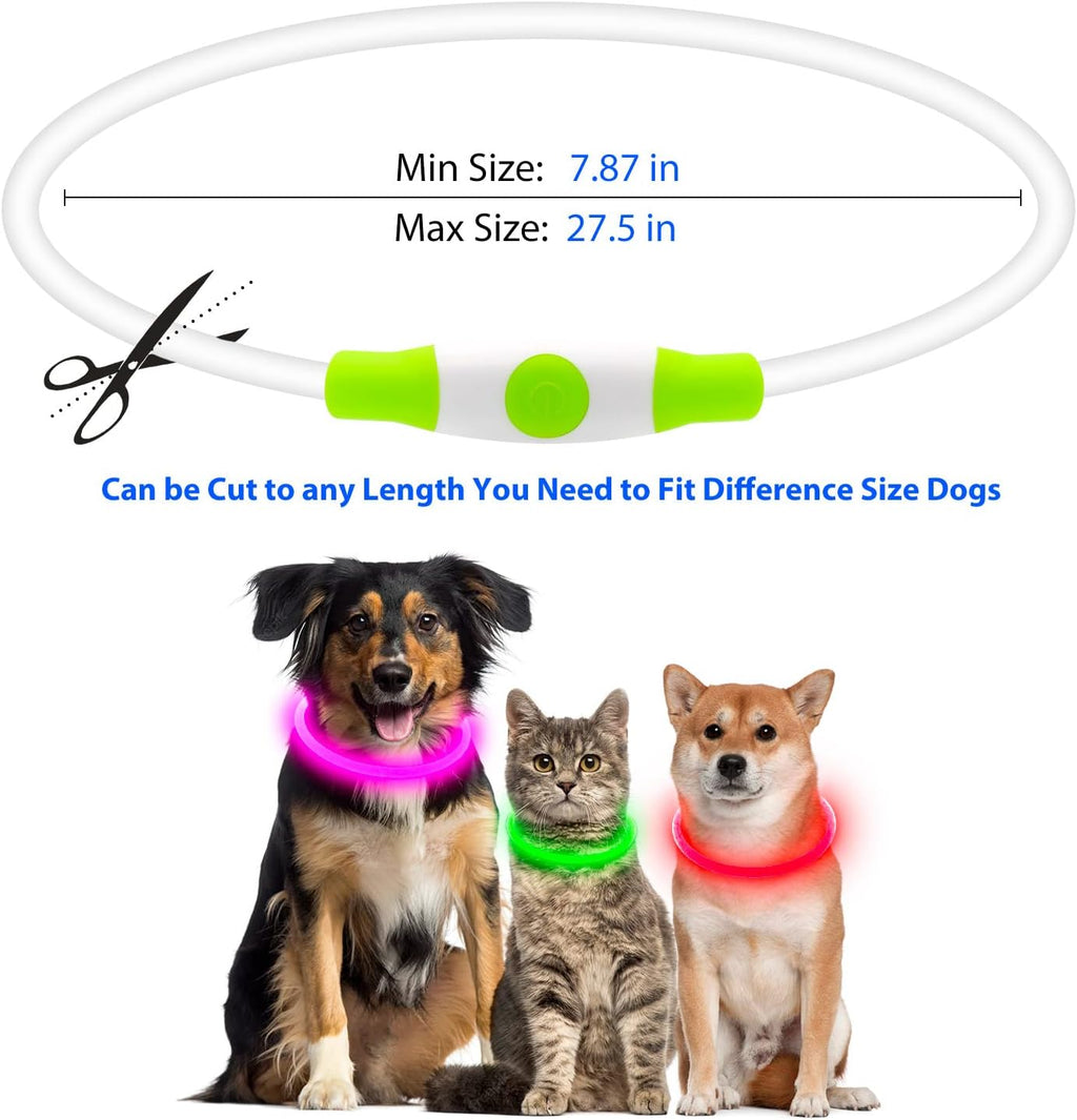 USB Rechargeable LED Dog Collar