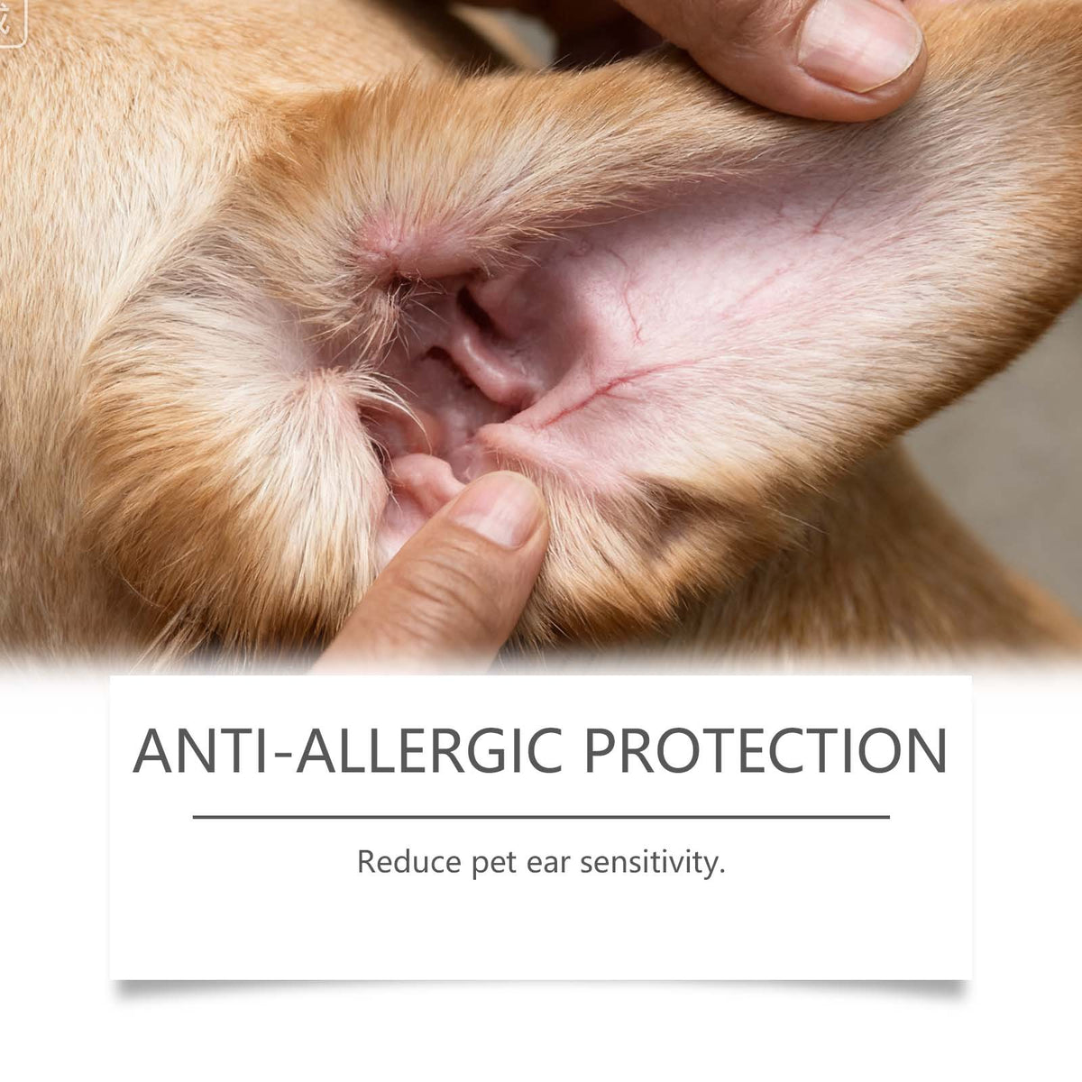 Dog Ear Care Drops