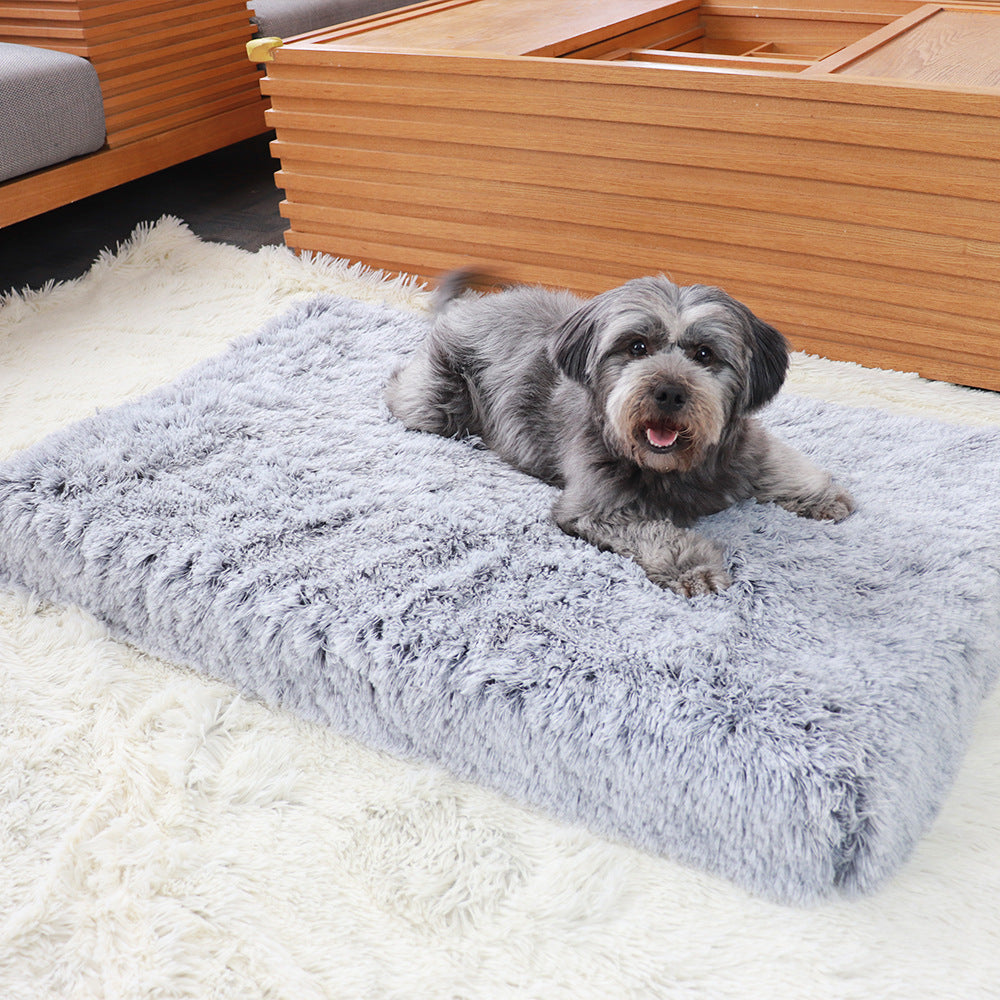 Plush Square Memory Foam Dog Bed