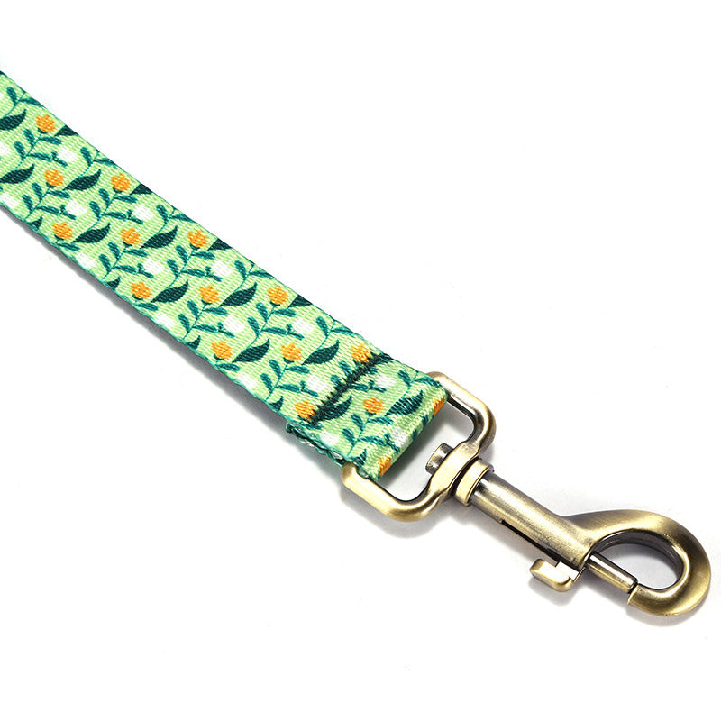 Pet Leash With Nylon-Like Webbing