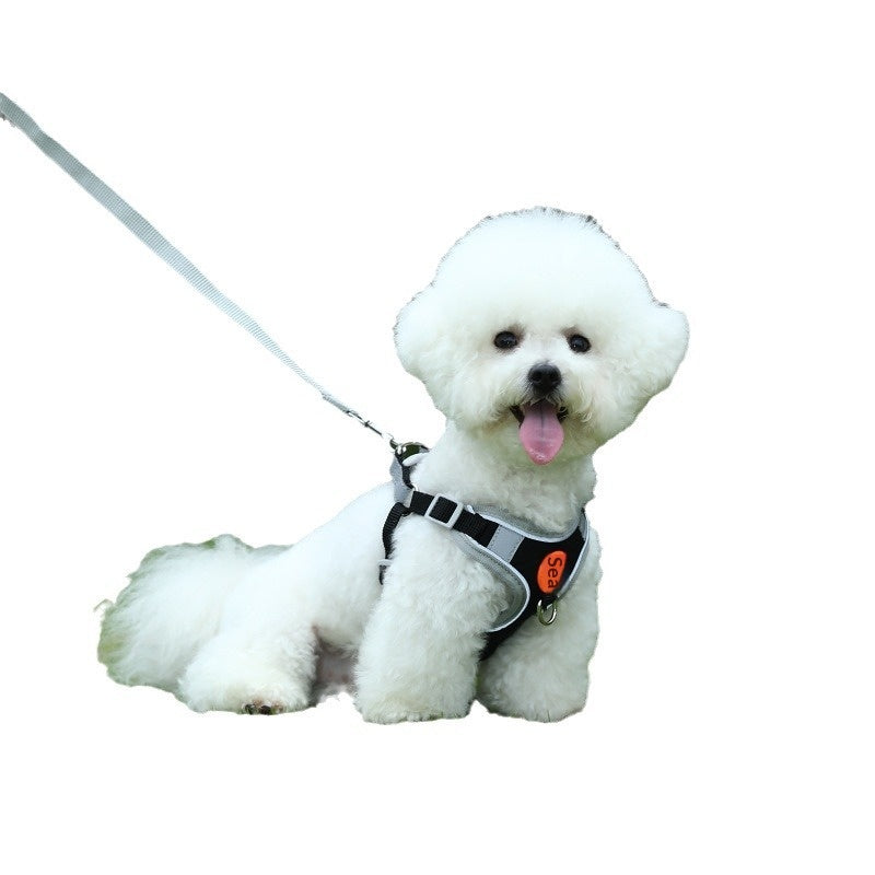 Breathable High-Leg Bichon Frise Harness And Leash