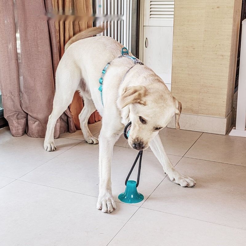 Dog Toy Bite-Resistant Molar Interactive Sucker Spherical Tug Of War String