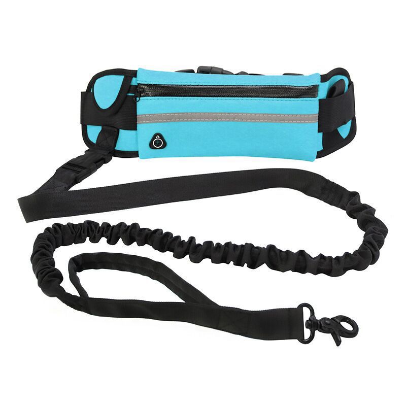 Nylon Pet Purse Leash