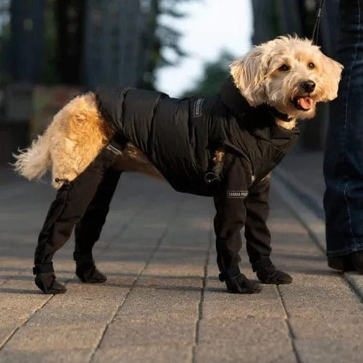 Waterproof Non-Slip Dog Shoes With Strap