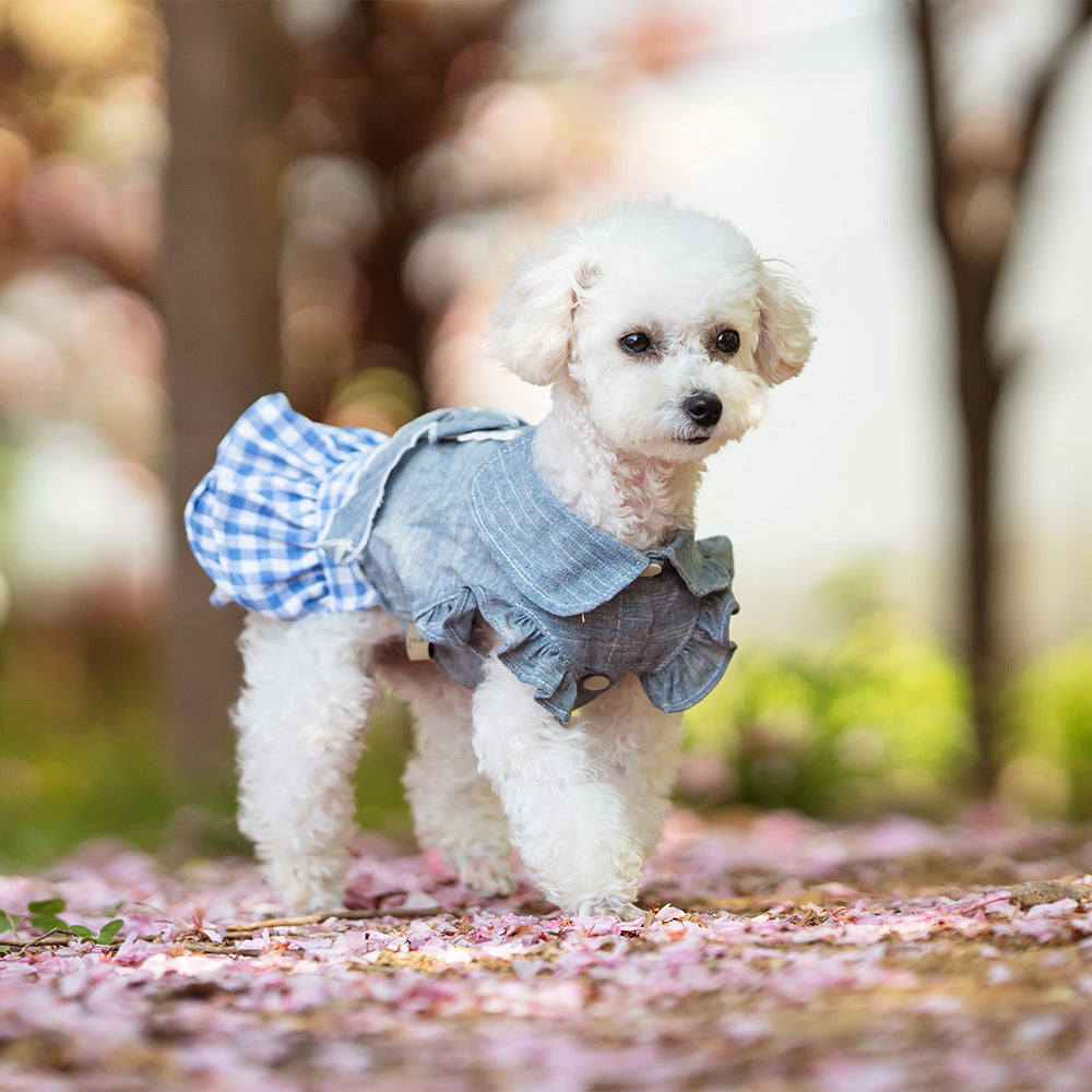 All-Season Thin Bow-Knot Pet Dress