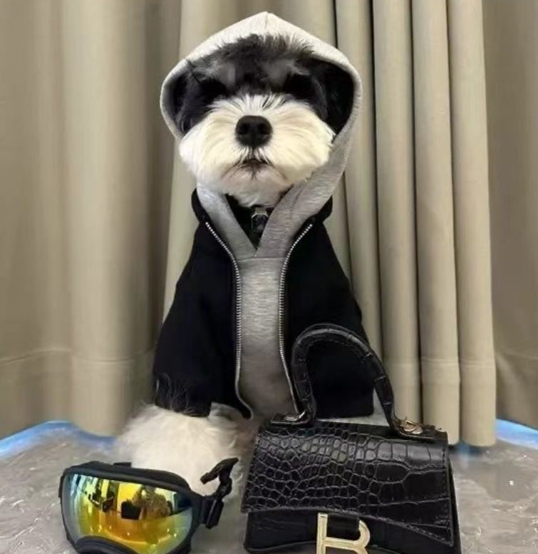 Fake Two Piece Dog Hooded Sweatshirt