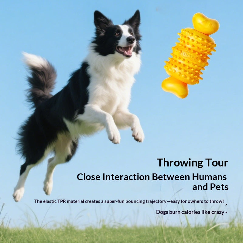 Bite-Resistant Simulated Bone Dog Chew Toy