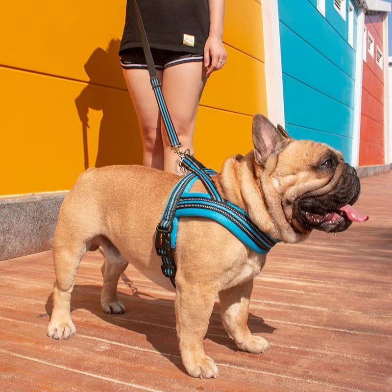 Vest-Style Dog Chest Harness