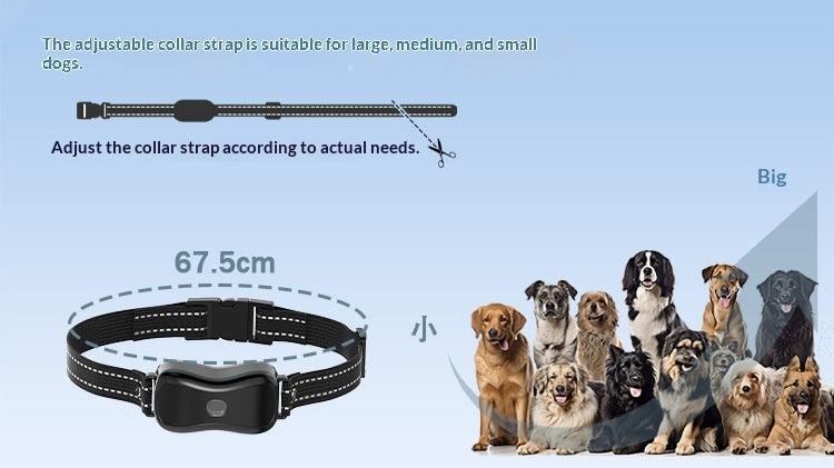 Remote 2-In-1 Dog Training Device