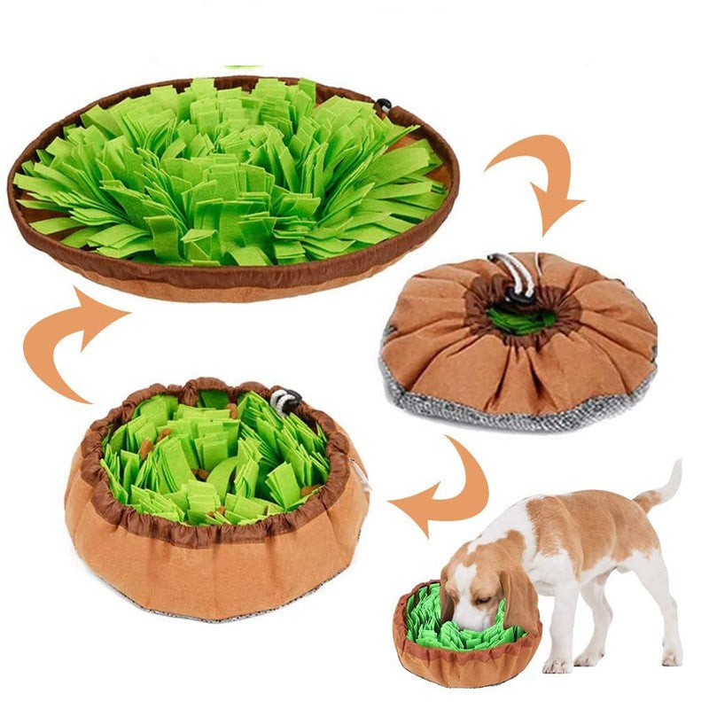 Sniff Training Mat Slow Food Interactive Toy