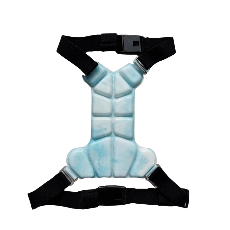 Physical Cooling Phase Change Ice Pad For Dogs