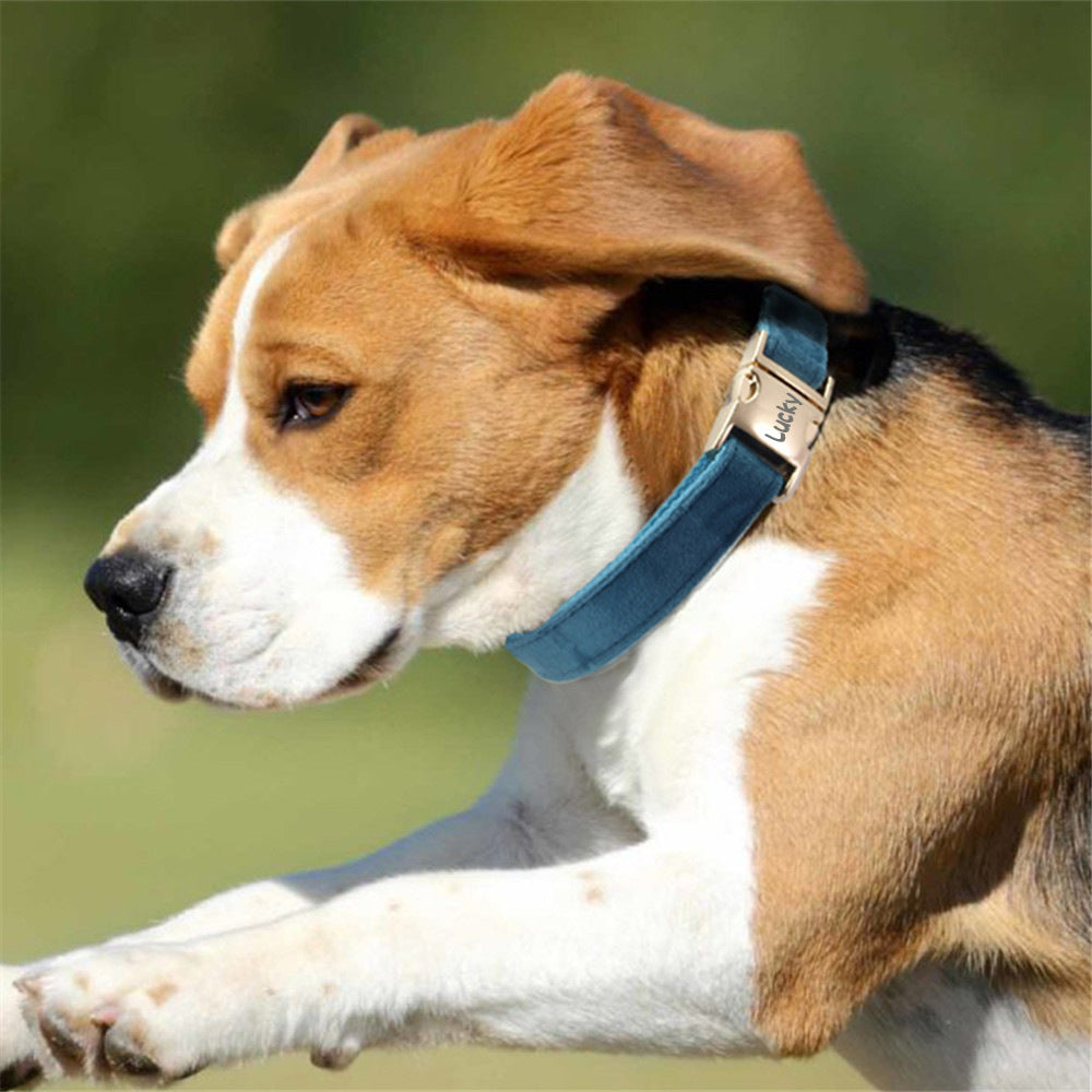 Engraved Anti-Loss Dog Collar And Leash