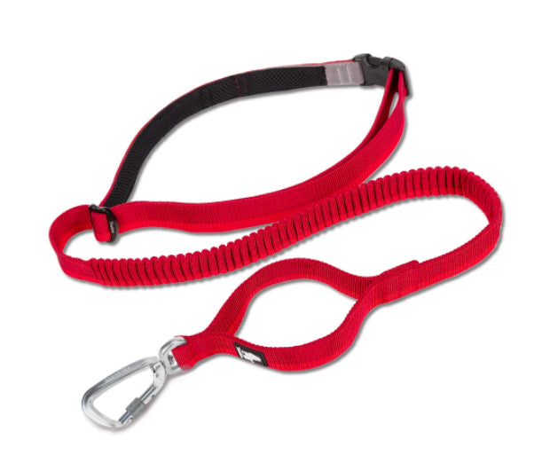Pet Dog Leash With Elastic Suitable For Running And Outdoor Activities Can Be Attached To The Waist