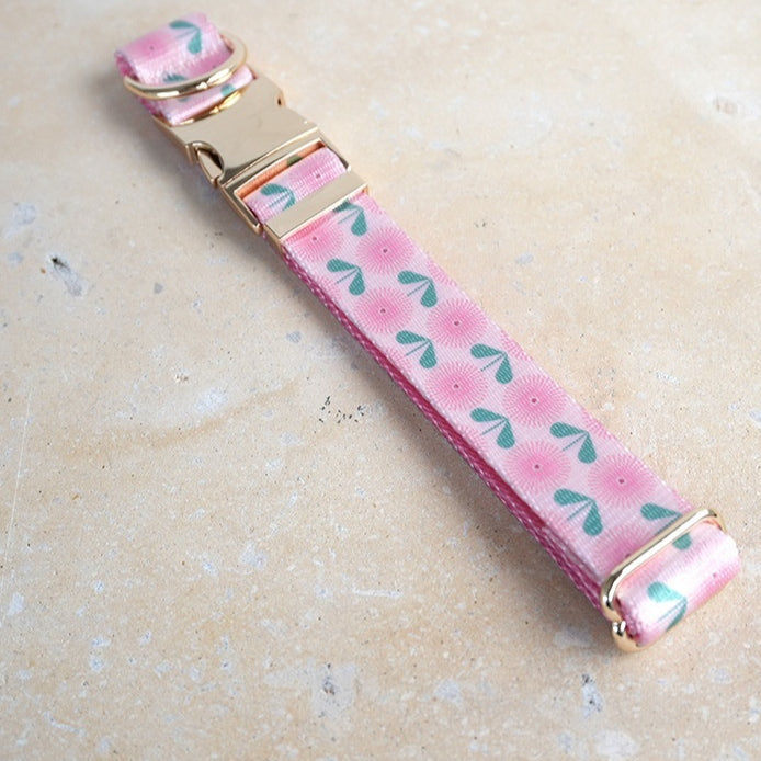 Adjustable Nylon Dandelion-Patterned Pet Collar