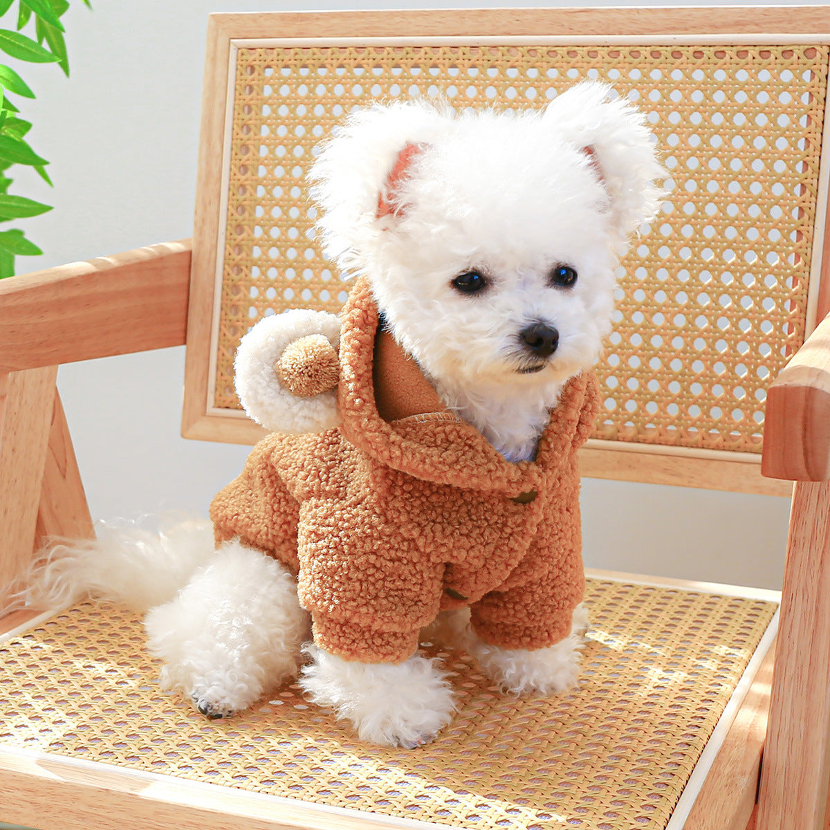 Lambswool Round Bear Dog Hoodie