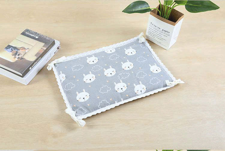 Summer New Style Positive And Negative Dual-Purpose Mat Pet Mat