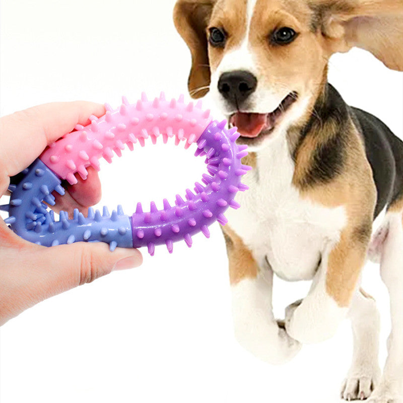 Tpr Pet Toy Three-Color Piercing Ring Dog Molar