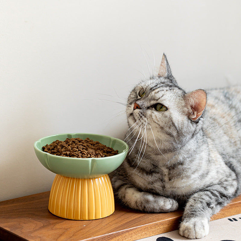 Candy Color Ceramic Cat Bowl
