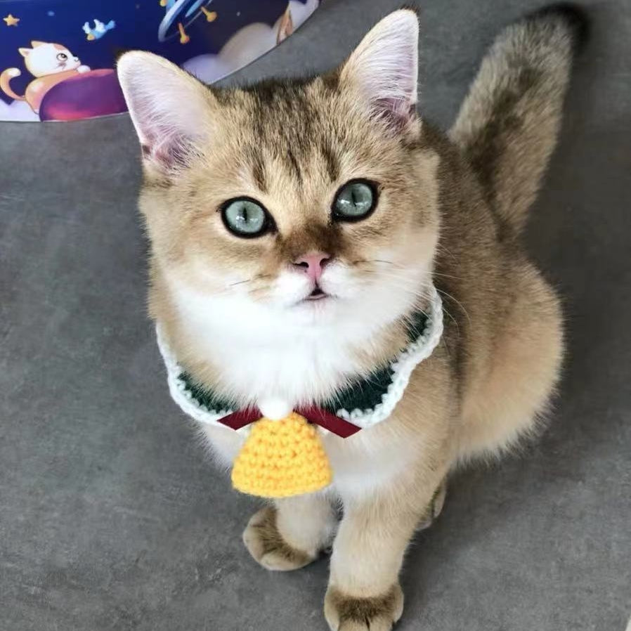 Hand Woven Wool Christmas Pet Collar