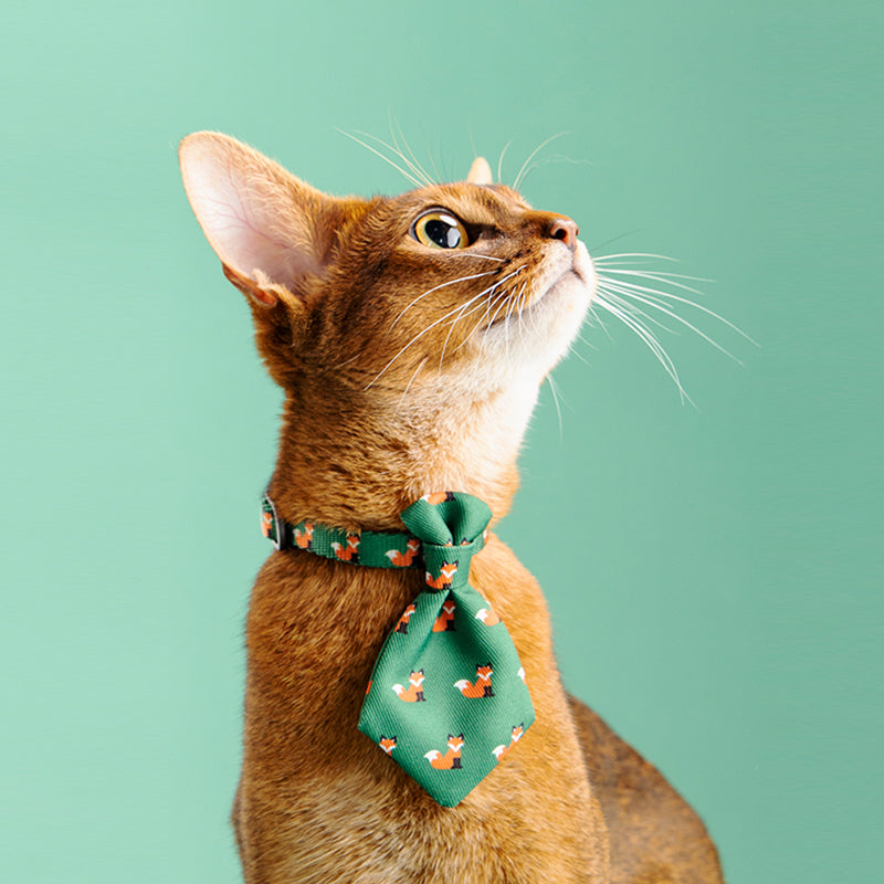 Adjustable Dog Neck Accessories