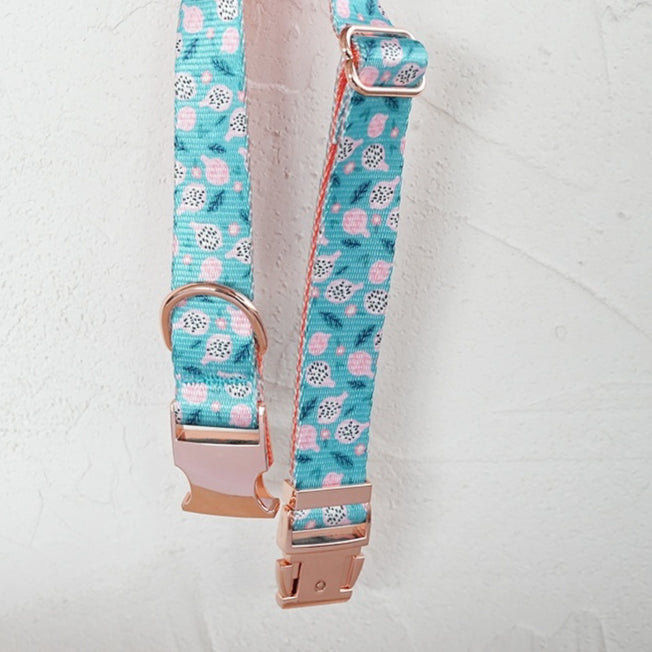 Fruit Pattern Faux Nylon Pet Collar