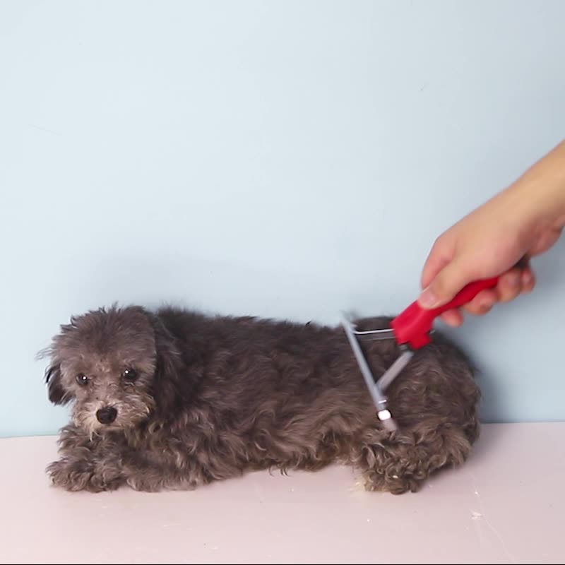 Extra-Large Dog Grooming and Deshedding Comb
