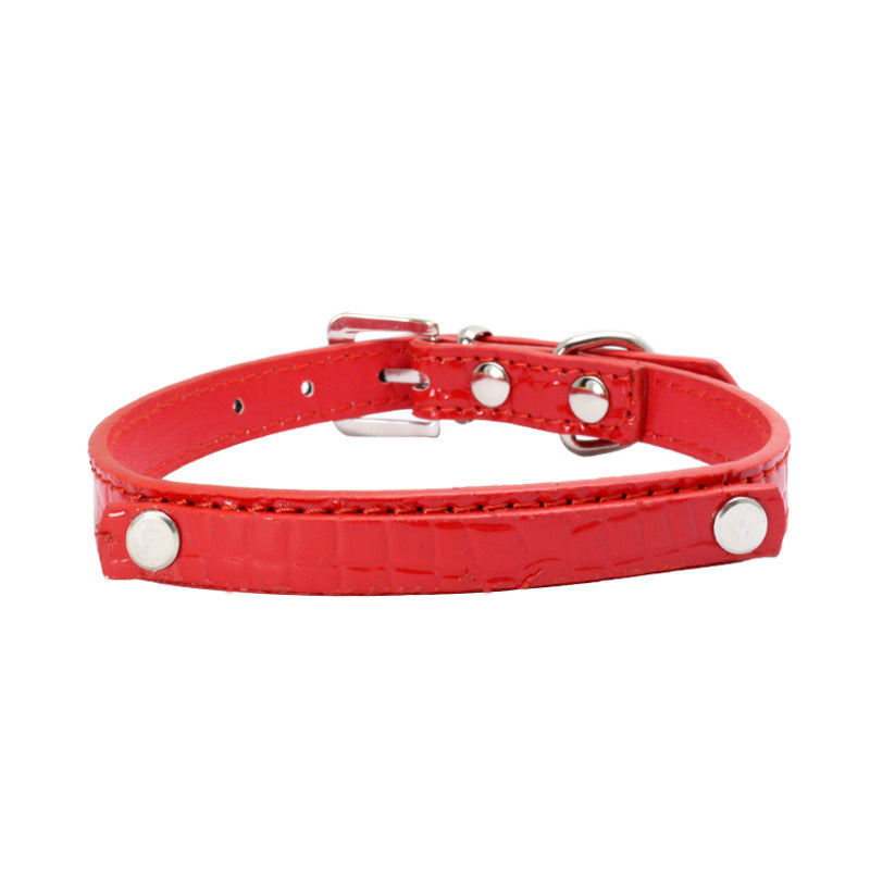 DIY Alphabet Dog Name Collar Accessory