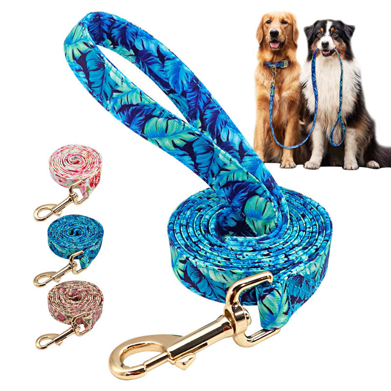 Nylon Dog Walking Leash