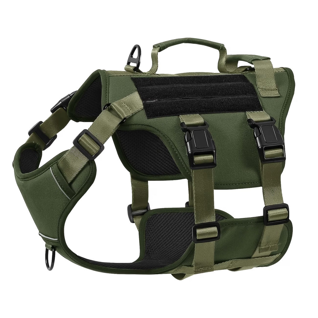 Pet Leash And Harness Option