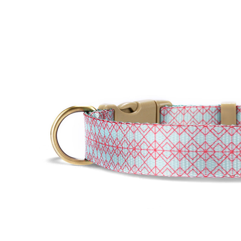 Pet Training Collar And Leash Set