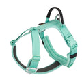 Multi-Functional Minimalist Outdoor Dog Harness
