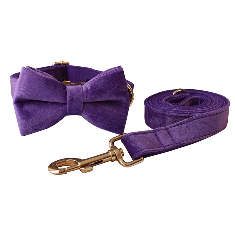 Dog Leash Pet Collar With Alloy Carabiner