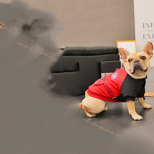 Autumn Winter Medium Corgi Dog Clothes