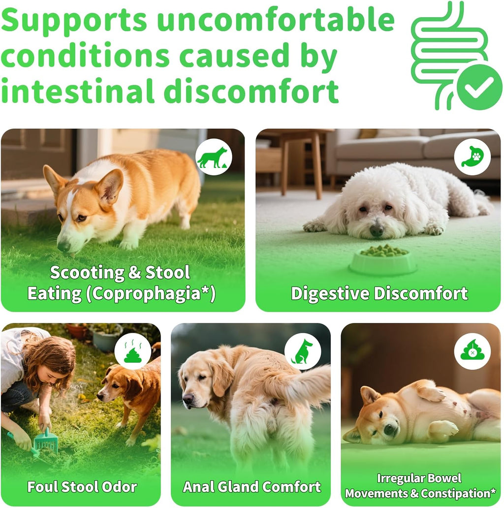 Dog Probiotics Digestive Enzymes,Pumpkin Fiber Chews For Gut Health, Constipation Upset Stomach Relief, Gas & Stool Support, Chicken Flavor