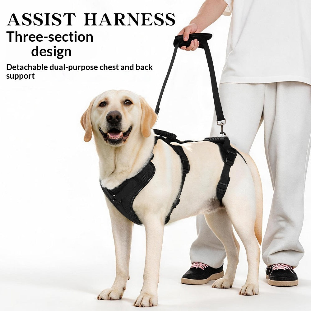 Reflective Adjustable Pet Support Strap