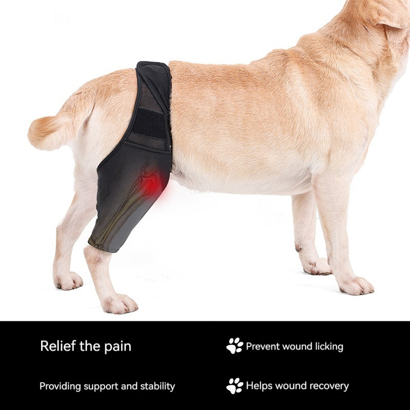 Postoperative Dog Knee Joint Support Wrap