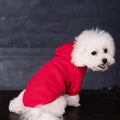 Fleece-Lined Pet Hoodie With A Hood