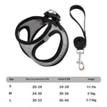 Vest-Style Mesh Harness and Leash Set