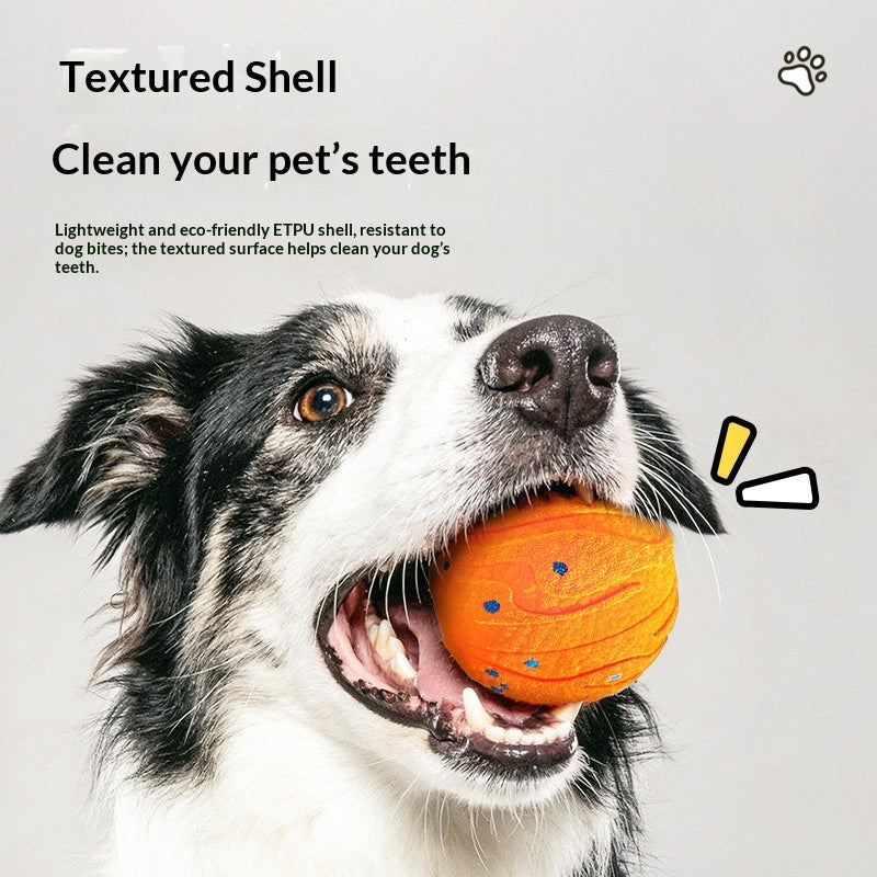 Smart Bouncing Ball Dog Toy