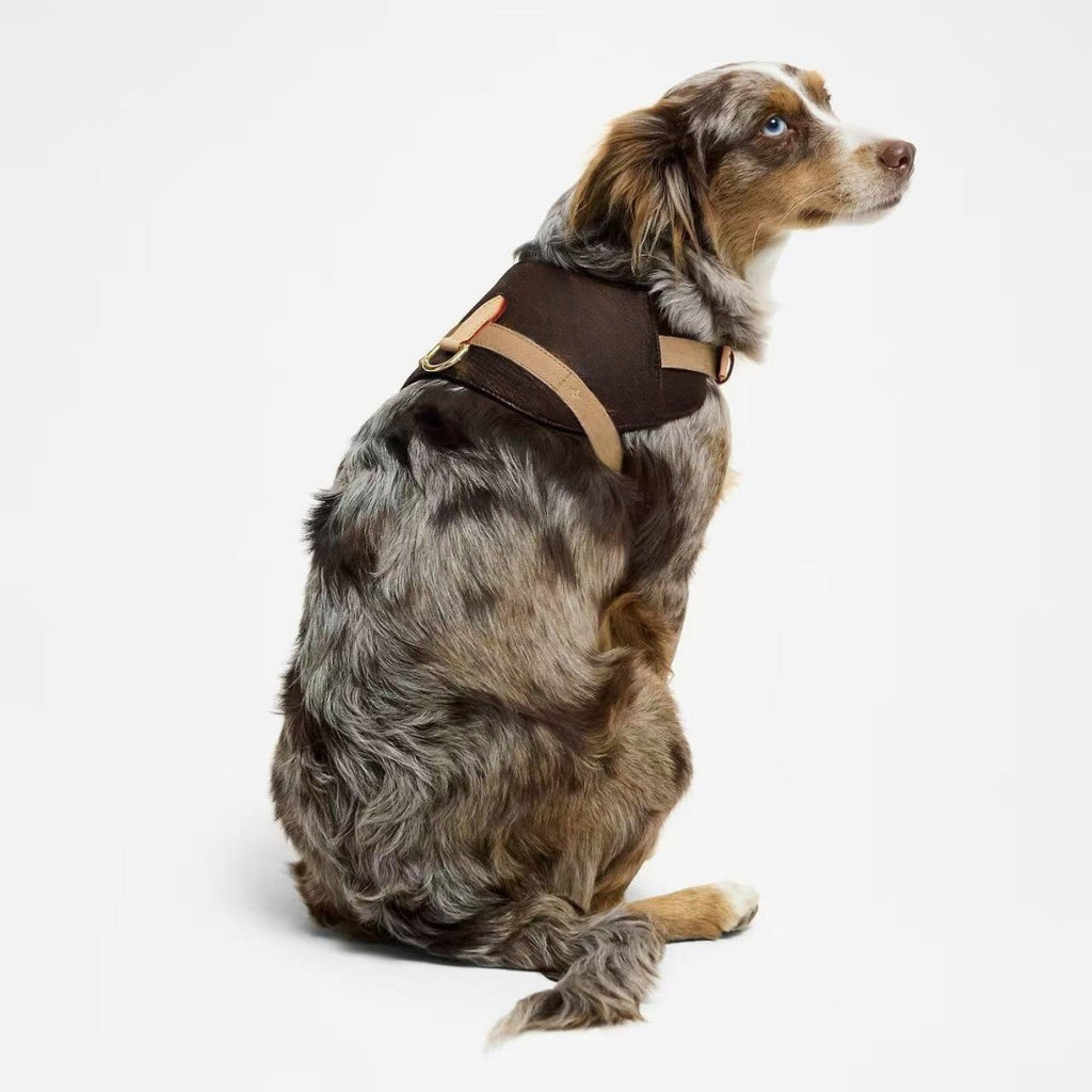 Street-Style Fashion Pet Harness