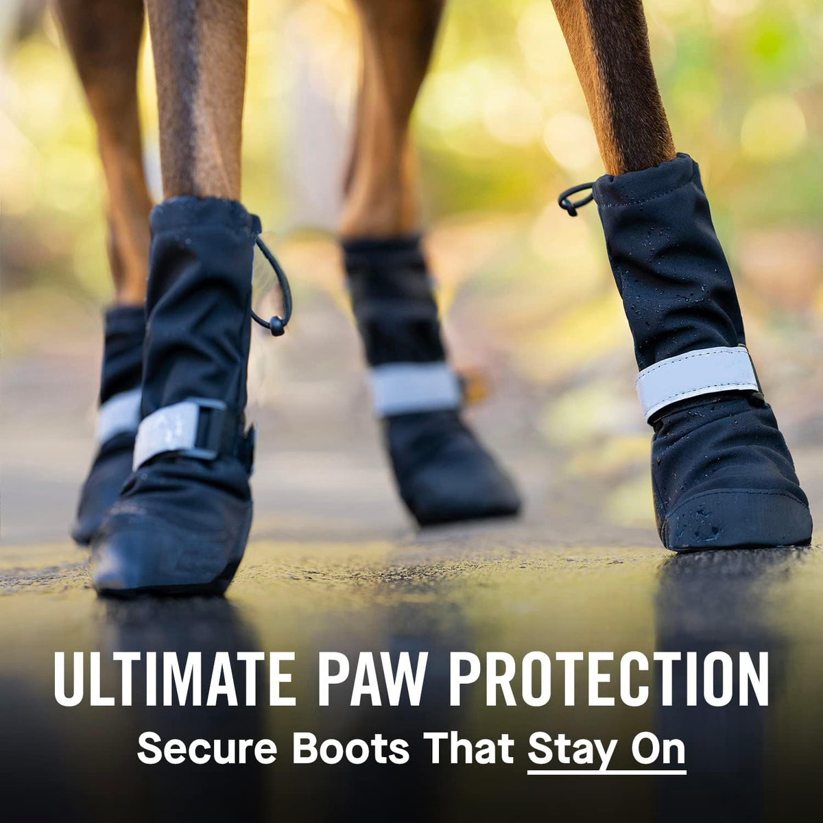Adjustable-Fit Dog Shoes