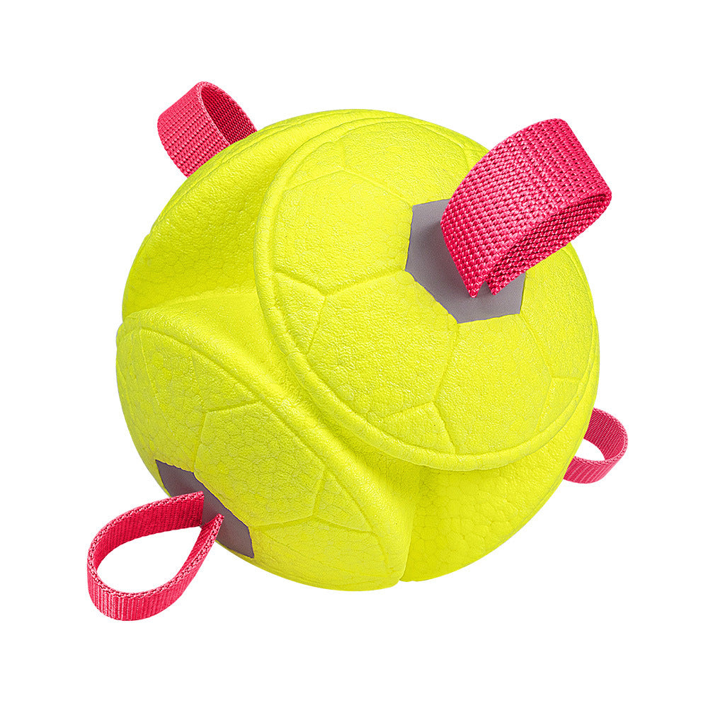 Durable Interactive Dog Toy Ball