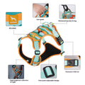 Reflective Dog Chest And Back Hand Rope