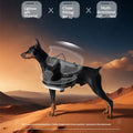 Dog Tactical Chest Harness With Multi-Function Leash