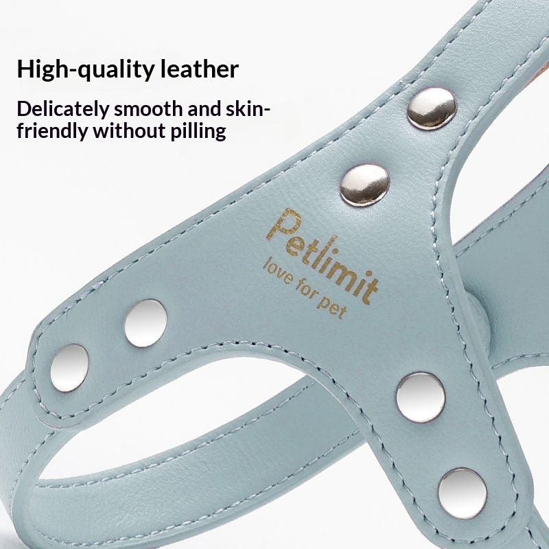 Leather Chest Harness and Leash for Small Dogs